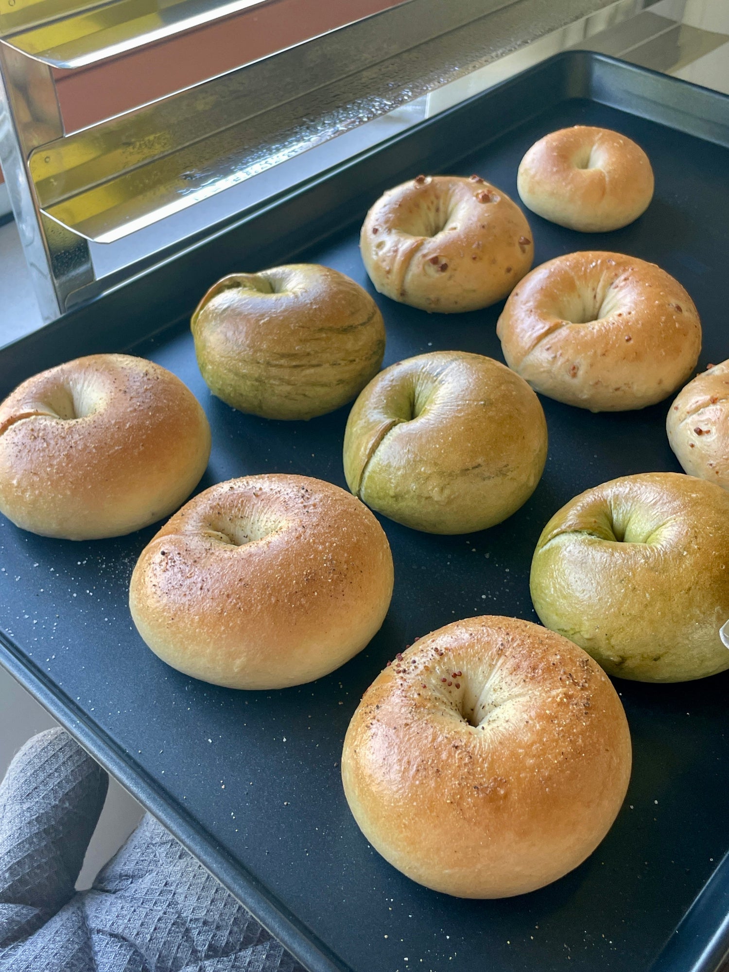🥯贝果 Begal