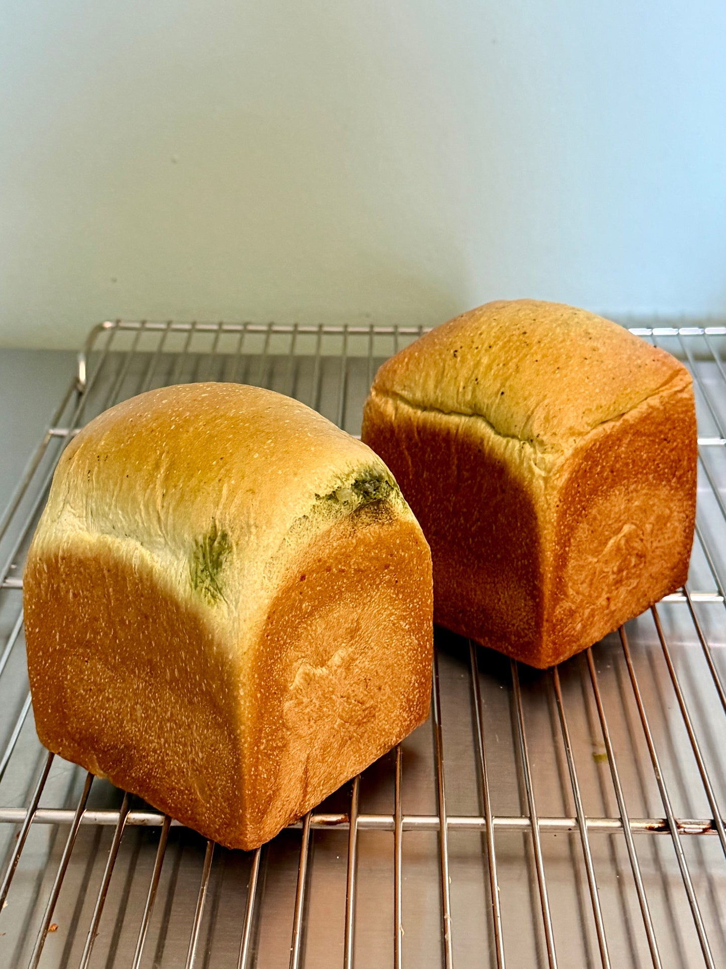 抹茶三重奏 Triple Matcha Loaf