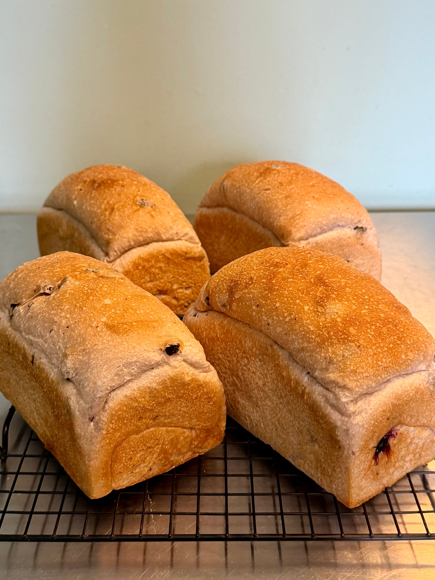 蓝莓黑巧酵液吐司 Blueberry & Dark Chocolate Sourdough Loaf